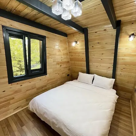 Pleasant Bungalow With Private Pool And A Jacuzzi In The Bedroom In Sapanca *